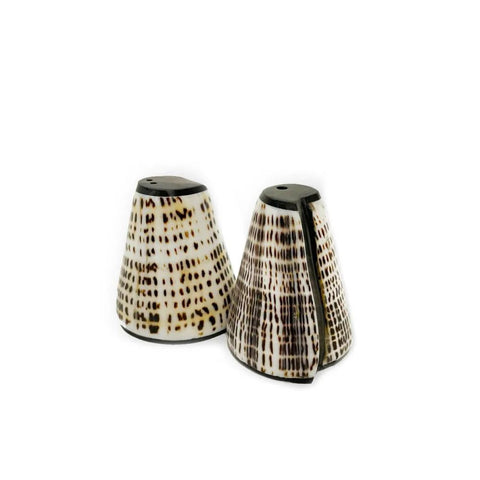 The Salt and Peppa Shell Set of 2 features conical shakers with black and brown dots on white, side by side on a plain background, bringing unique charm to your tableware with a hand-picked shell design.