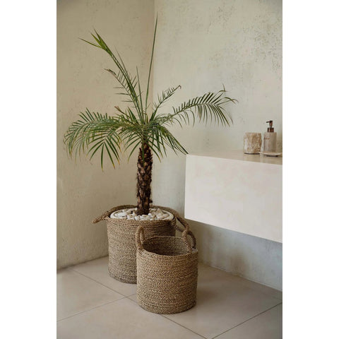 Potted palm tree in a woven basket on a tiled floor with a neutral wall background.