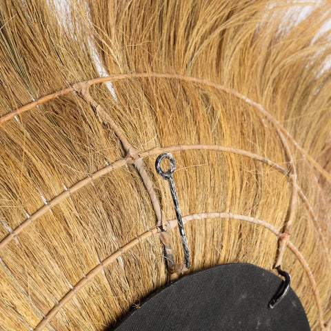 The Sunken Forest Mirror