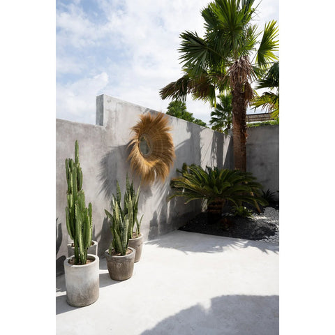 The Sunken Forest Mirror