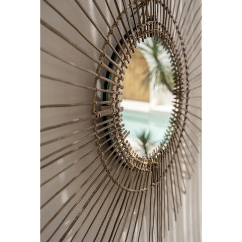 The Tropical Mirror