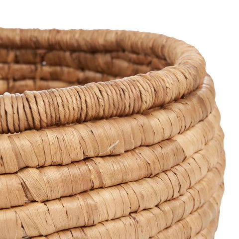 The Sarvatah Basket