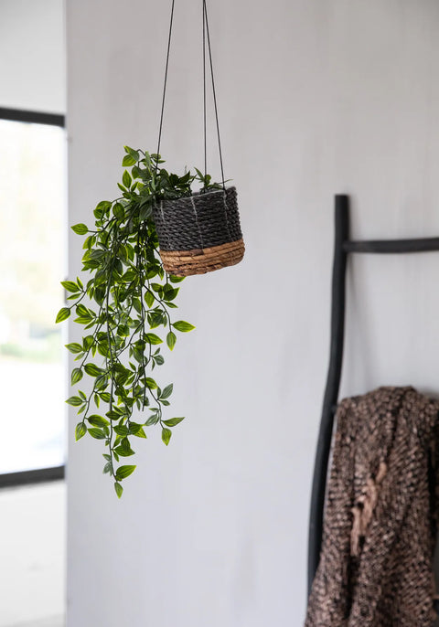 The Banana Plant Hanger - Natural Black - S