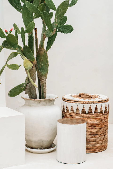 A white ceramic pot with a tall cactus stands beside a woven basket with a lid and a handmade stool. The scene, set against a light-colored wall, embodies natural and organic design, creating a minimalist aesthetic.