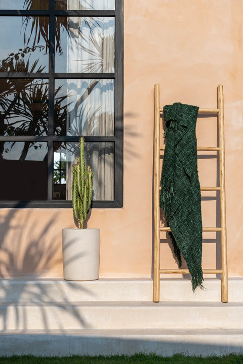 A boho ladder crafted from teak wood with a green blanket draped over it leans against a light peach wall. A potted cactus sits nearby on a sunlit step, where shadows of palm leaves dance on the large window beside them, adding natural character to the scene.