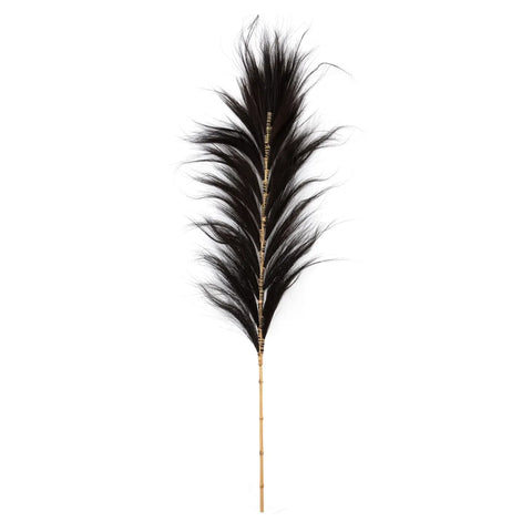 A single black ostrich feather with a long, thin stem and soft, flowing barbs arranged symmetrically serves as a striking decorative element.