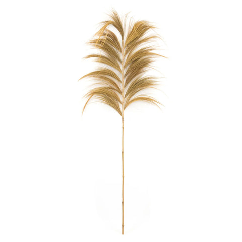 A single stalk of golden pampas grass with feathery plumes arranged along a slender stem serves as an elegant decorative element. The white, minimalistic background highlights the natural texture and color, perfect for enhancing any home interior.