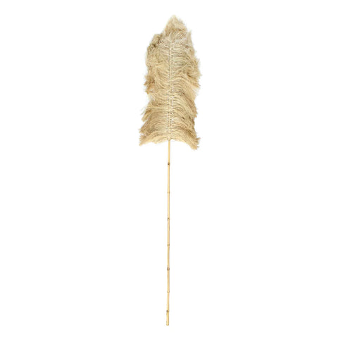 A single dried pampas grass plume on a long, slender stem set against a plain white background captures the essence of boho look. The feathery texture of the plume is prominent, with a soft beige color, perfect for enhancing any home interior decoration.